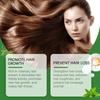 Hoegoa Rosemary Rice Water Hair Spray - Nourishing Dry & Frizzy Hair, Moisturizing Hair Care Spray