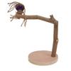 Parrot Standing Stick Safe Natural Detachable Wood Bird Perch Stand with Base for Birds Parrots