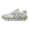 Fila Predator 2 Stoff Leder Retro Bequeme Low-Top Lifestyle Schuhe Herren Sneaker Grau Grün F12M232140FVS
