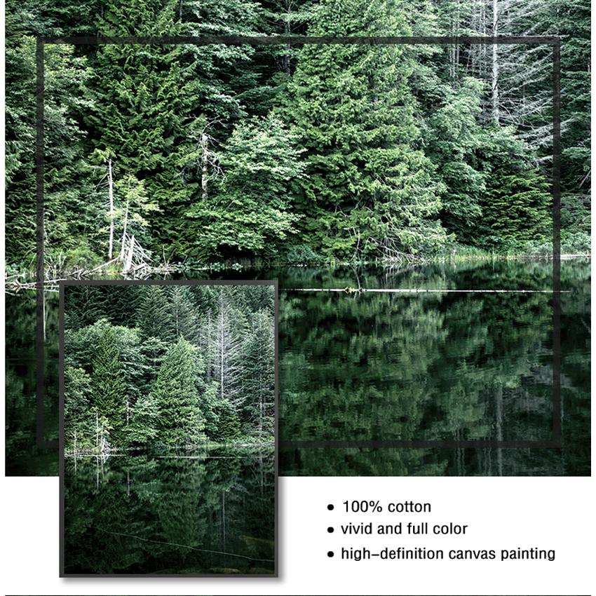 Skandinávská scenérie Příroda Nástěnná umělecká reprodukce Malba Severská dekorace Les Vodopád Most Krajina Obraz