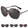 Vintage Retro Eyewear Oversized Women Fashion Designer Sunglasses Glasses