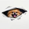 Car Sticker Pomeranian Dog Pet Vinyl Detachable Waterproof Outdoor Car Bumper Window Notebook Computer Decoration Car Accessories JM43