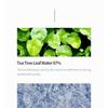 iUNIK - Centella Mild Cleansing Foam