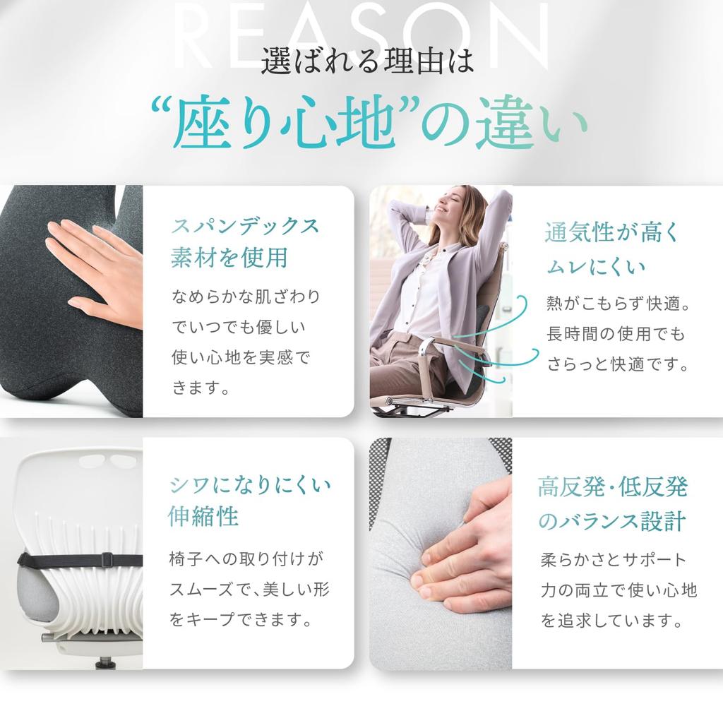 LeLante Car Cushion, Lumbar Support, Seat Cushion, Lower Back Pain, Driver's Seat Cushion, Memory Foam, Dark Gray