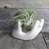 3Pcs Air Plant Holder Ceramics Airplants Holder Small Container Pots Hand Shape Office Desk Base Airplants Display Container