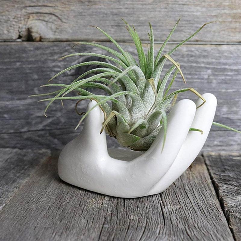 3Pcs Air Plant Holder Ceramics Airplants Holder Small Container Pots Hand Shape Office Desk Base Airplants Display Container