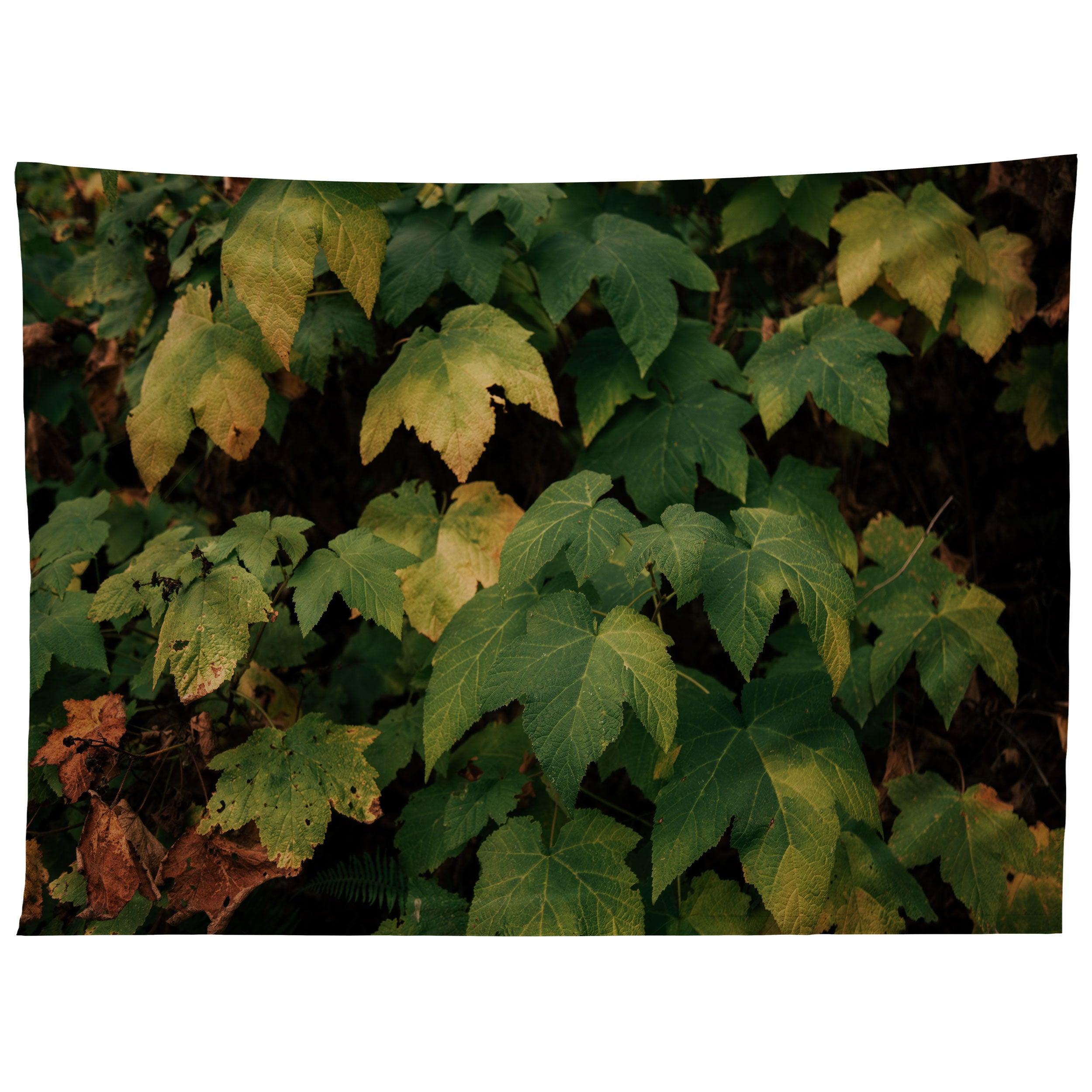 EARLY FOLIAGE tapestry 75x100 чёрный