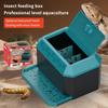 Reptilien-Futterbox Tragbarer Schlangen-Reisebehälter Kleine Terrarien Atmungsaktive Haustier-Zuchtboxen Reptilien-Tiere Lebensraumkäfig