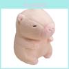 Glow Capybara Plush Doll With Short Pile Fabric For Children And Gift Giving