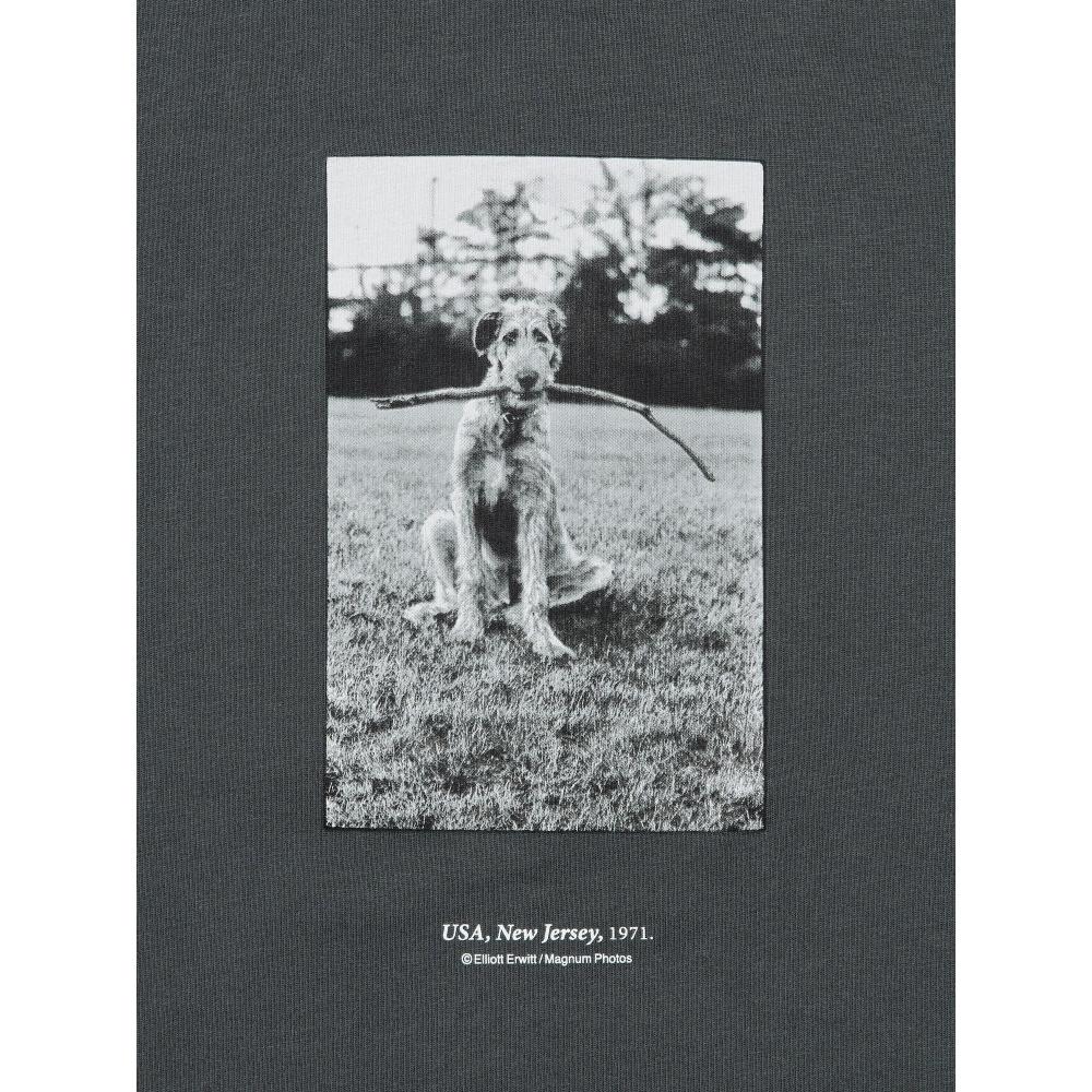 Uniqlo Japan Elliot Erwitt Ut