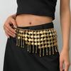 Tassel Belly Chain Vintage Dance Belt Belt Waist Chain  Dress Accessories