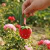 Persimmon Orange Bag Pendant Strawberry Plush Cherry Key Ring Fashion Fruit Key Chain  Children