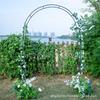 Wrought Iron Wedding Archway Trellis for Climbing Plants: Outdoor Rose Garden Gate