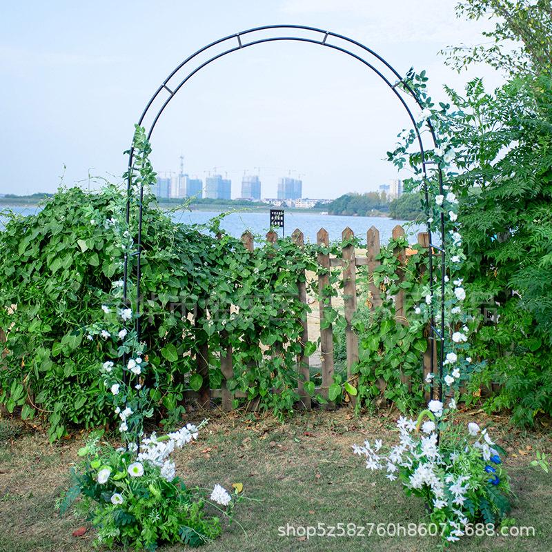 Wrought Iron Wedding Archway Trellis for Climbing Plants: Outdoor Rose Garden Gate