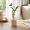 Home Decoration Glass Tube Vase Minimalist Flower Holder Hydroponic Flower Vase  Indoor Planting