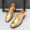 Men's Casual Leather Shoes Classic Business Dress Shoes Lace Up Oxford Shoe Fashion Banquet Party Shoes Gold Silver Wedding Shoe