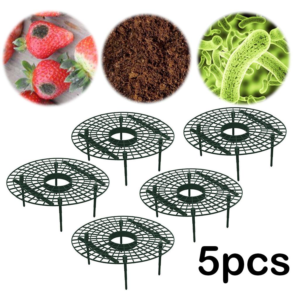 Strawberry Supports with 4 Sturdy Legs Keeping Plant Fruit Stand Keep Berries Clean Balcony Planting Rack Garden Tools