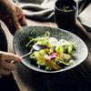 Japanese Olive Stone Pattern Ceramic Plate for Pasta and Pizza
