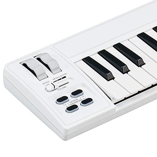 AKM320 (Weiß) MIDI-Keyboard-Controller mit Cubase LE, der klassischen DTM-Software