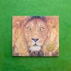 The Lion & the Mouse (Caldecott Medal Winner)