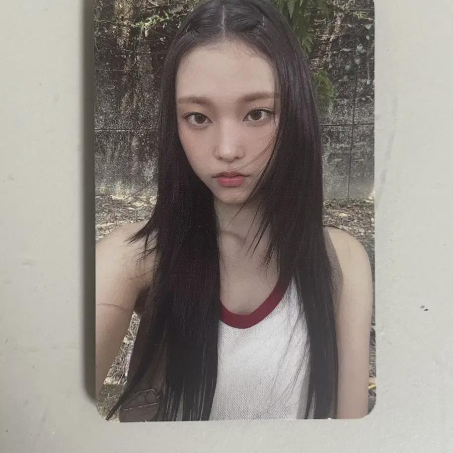 

Newjeans Sweet Kubang Poka Harrin