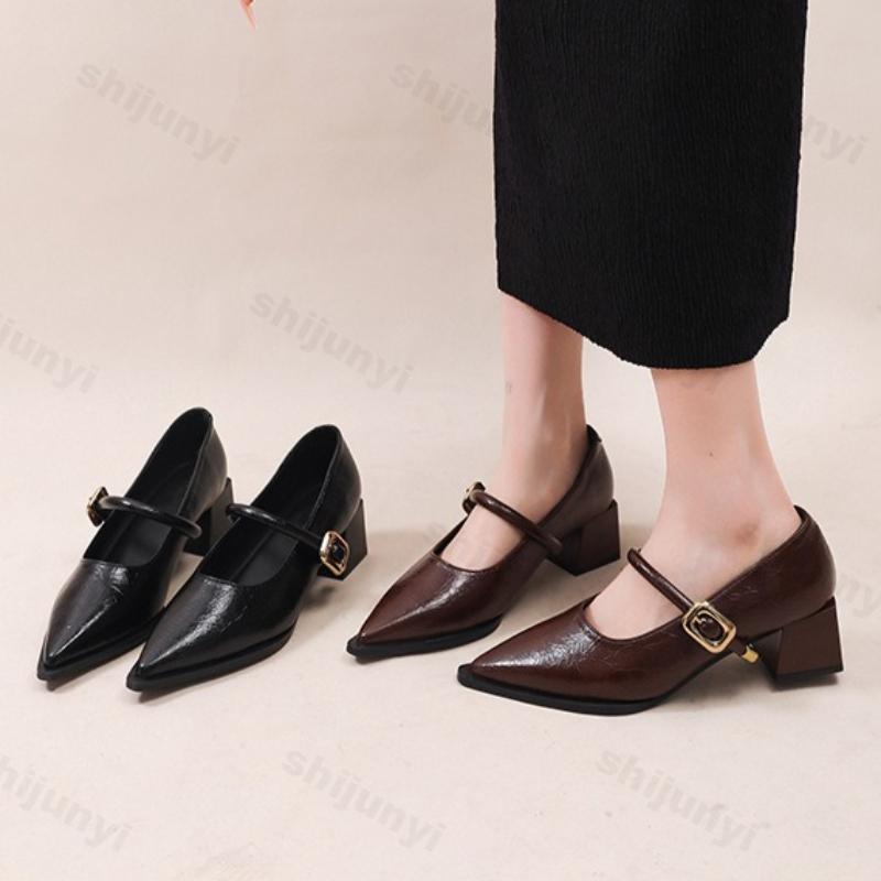 Women Mary Jane Shoes Vintage Pointed Toe Elegant Spring 2026 Ladies Outdoor Low Heel Shoes Fashion Chunky Party Dress Pumps