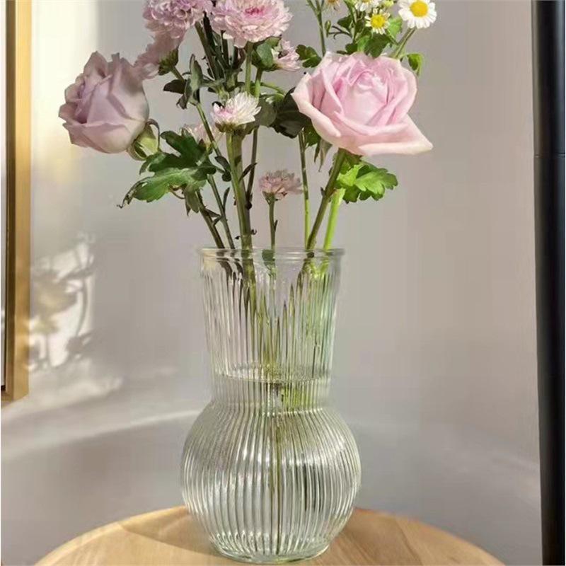 Nordic Cone-Shaped Transparent Glass Vase for Lucky Bamboo and Flowers
