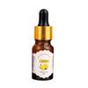 10ml/Bottle Fruit Aromatherapy for Plant Essential Oil Fragrance Lamp Humidifier