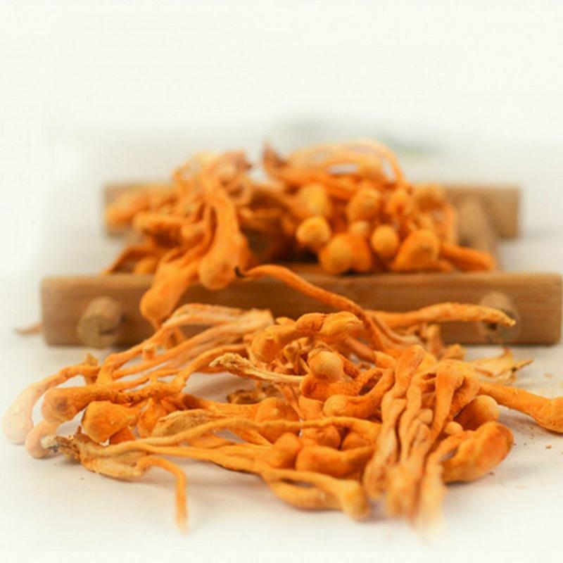 Cordyceps Militaris w proszku Organiczny grzyb bogaty w aminokwasy białkowe, ziołowy