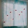 Light Blue Solid Sheer Voile Window Curtain Transparent Light Filtering Drape Soft Breathable For Bedroom Living Room Home Decor