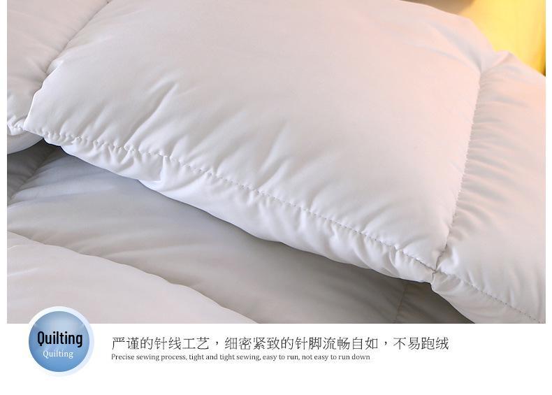All-Season Double Quilt with Feather Velvet Cover for Autumn/Winter - Hotel-Quality Silk Cotton Quilt Core