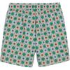 Puma Prep Aop All Over Print Comfortable Lace-Up Casual Shorts Unisex Shorts Green 627954-86