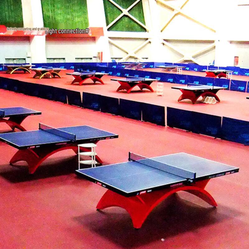 Enlio Professional Table Tennis Floor Mat 5.5mm
