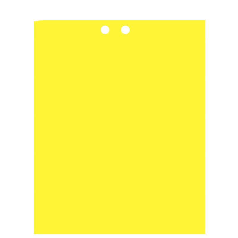 Bingyu BY-7055 Double-Sided Sticky Insect Trap Boards 20x25cm