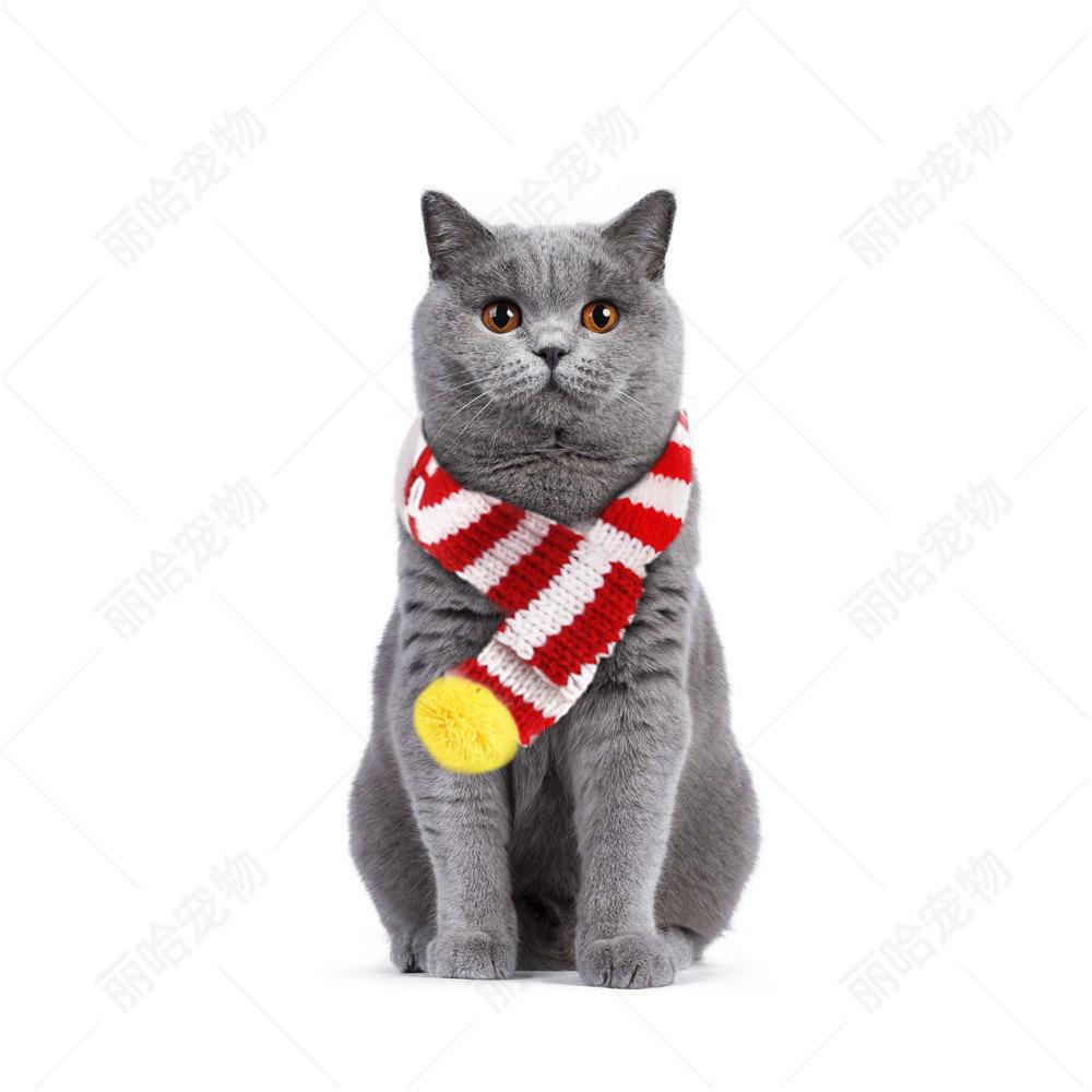 Sciarpa Natalizia Creativa Lavorata a Maglia per Gatti e Cani - Accessori Festivi per Animali Domestici per il Nuovo Anno