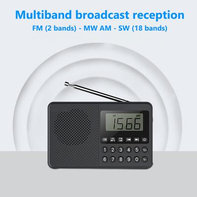 Rádio