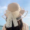 Summer Big Eaves Sunshade Straw Hat Korean Version Face Covering Seaside Vacation Sun Hat Foldable Temperament Spring and Summer Sunscreen Hat Women