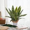 Zhi Xu Tiger Pothos Faux Greenery for Wedding Décor & Handicrafts - INS Style