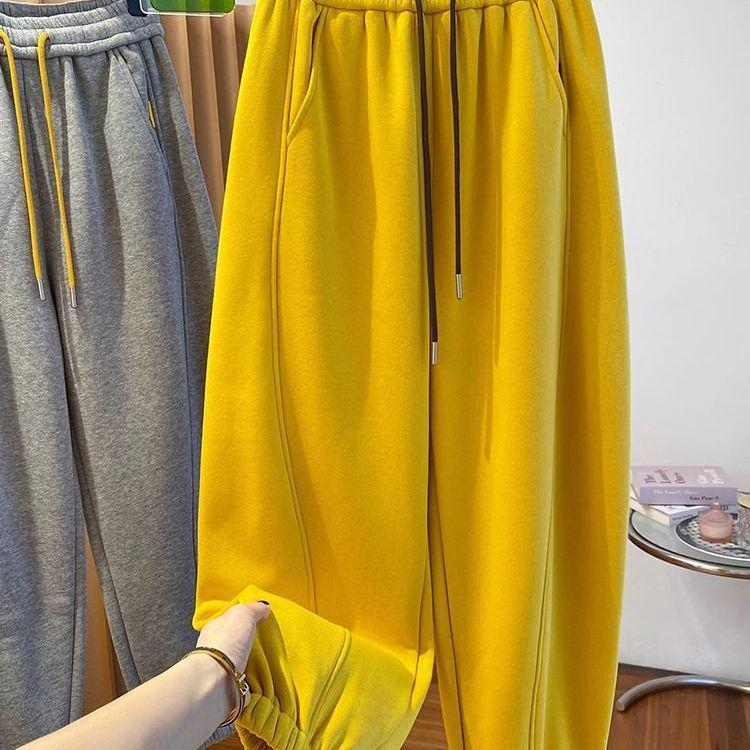 Plus Size Thick Velvet Sweatpants for Women - Autumn/Winter Loose Casual Harem Carrot Cropped Pants