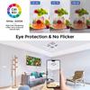 24W Modern Led Ceiling Lights Led Chandelier Ceiling Lighting AC90-260V Ceiling Lamp For Room Living Room Decoration