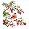 Winter Atmosphere Decor Bullfinch And Red Sticker Watercolor Glass Berries Static Bird Decal Transparent Window Film Removable PVC Cling for