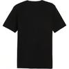Puma Rad/Cal Dk Acm Ess Logo Print Crew Neck Short Sleeve T-Shirt Men T-Shirts Black 777669-04