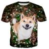 Children's Fun Animal 3D Printed T-shirt Summer Harajuku Short Sleeve T-shirt Round Neck Top Starry Sky Cat Universe Pattern T-shirt