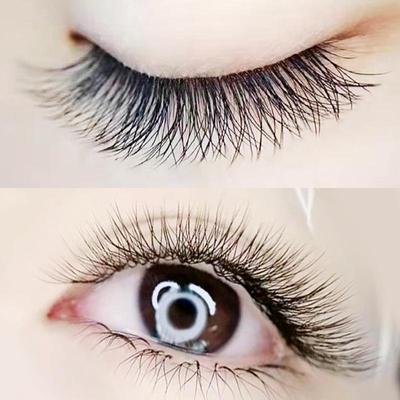 Three-Leaf Clover 3D Soft Natural Eyelashes, W-Shaped Grafting False Individual Strands with Money-Back Guarantee.