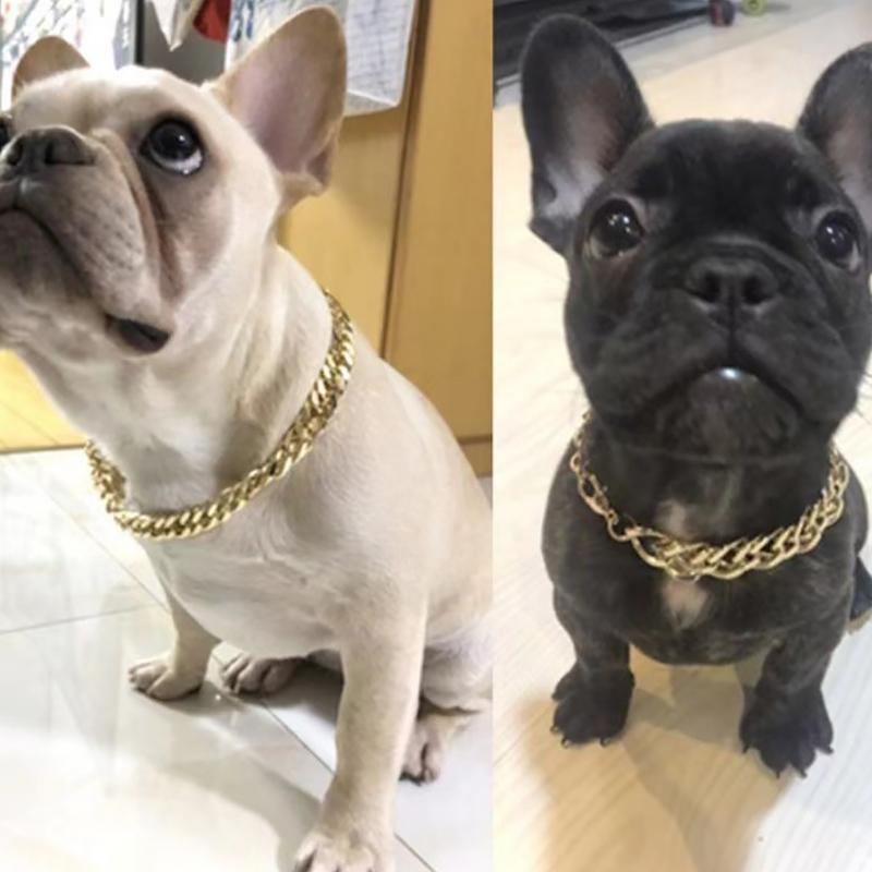 Pet Dog Bully Gold Chain Small And Medium-Sized Dog Collar Pet Necklace Jewelry Pet Supplies Dog Necklace