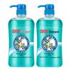 Bienen- und Blumenpflanzen-Kräuter-Ingwer-Shampoo