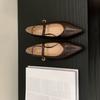 2025 New Pointed One-word Belt Niche Shallow Mouth Mary Jane Versatile OL Commuter Work Women's Shoes