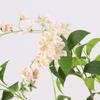 High-End Wisteria Jasmine Artificial Plants Decoration for Living Room and Entryway