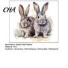 Self Adhesive Wall Mural for Children Bedroom Cartoon Rabbit Sticker Kids Room, Waterproof PVC Bunny Decal, Watercolor Nursery Decor Peel And