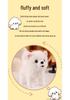 Cute Realistic Pomeranian Plush Toy - Small Comfort Doll for Girls & Children